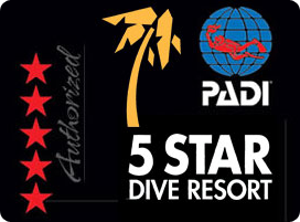 padi-star-logo